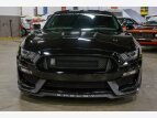 Thumbnail Photo 7 for 2017 Ford Mustang